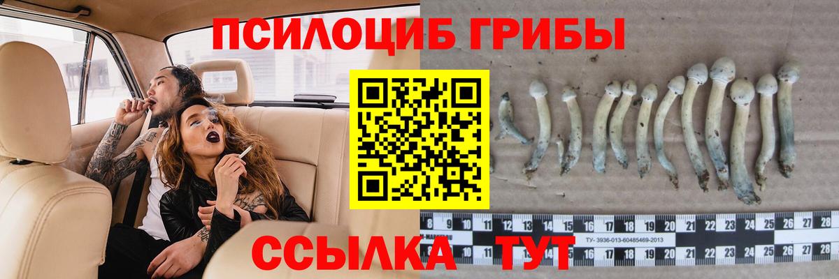 Галлюциногенные грибы MAGIC MUSHROOMS Отрадное